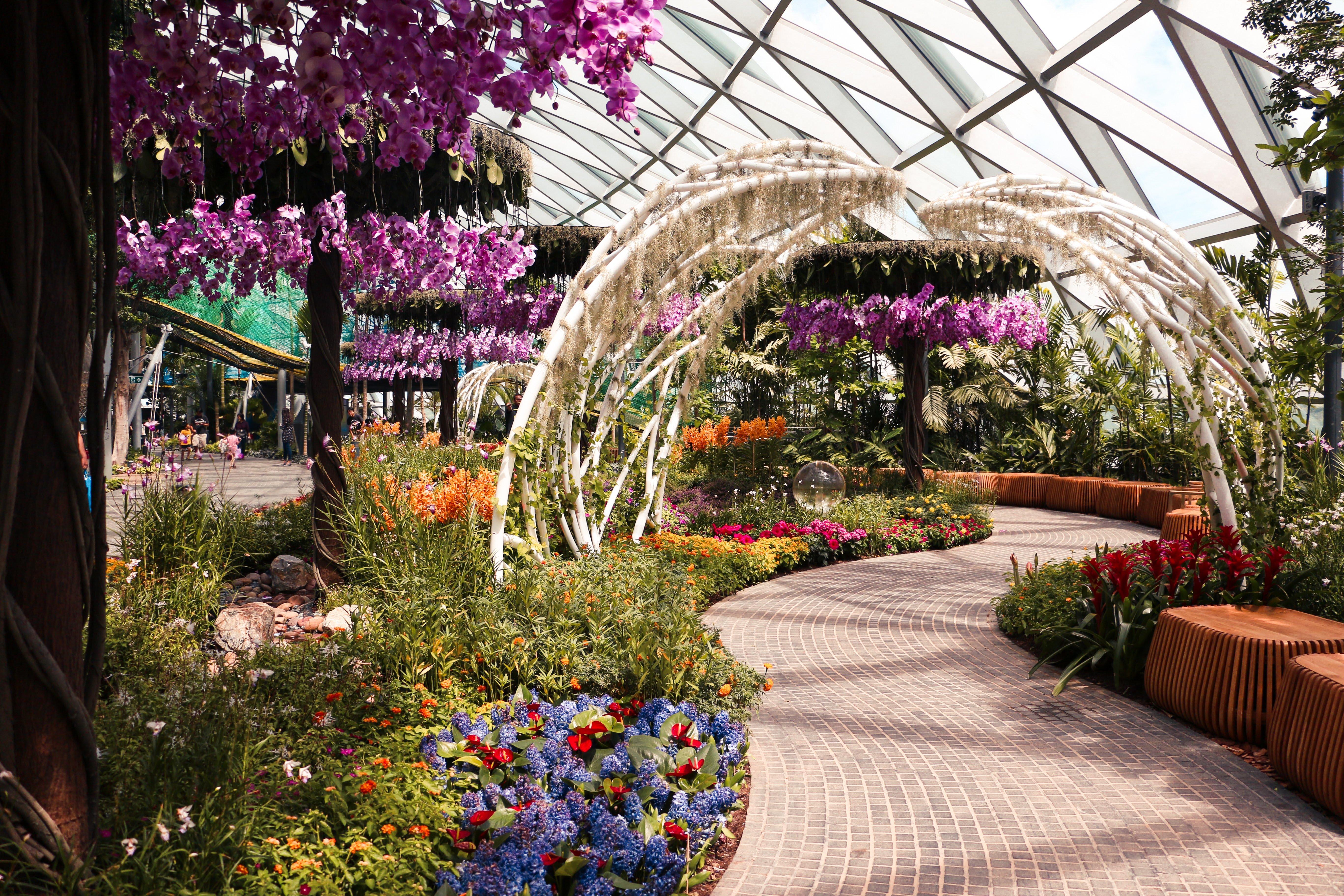 Crowne Plaza Changi Airport By Ihg Singapur Exterior foto The photo depicts a beautiful indoor garden featuring vibrant flowers and lush greenery. The scene includes colorful floral arrangements, notably with purple orchids hanging from the ceiling. A winding path made of stone leads through the garden, fla